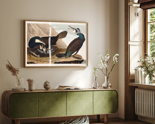 Pelagic Cormorant Art Print - John James Audubon Birds of America - Violet-green Cormorant Vintage Illustration Poster