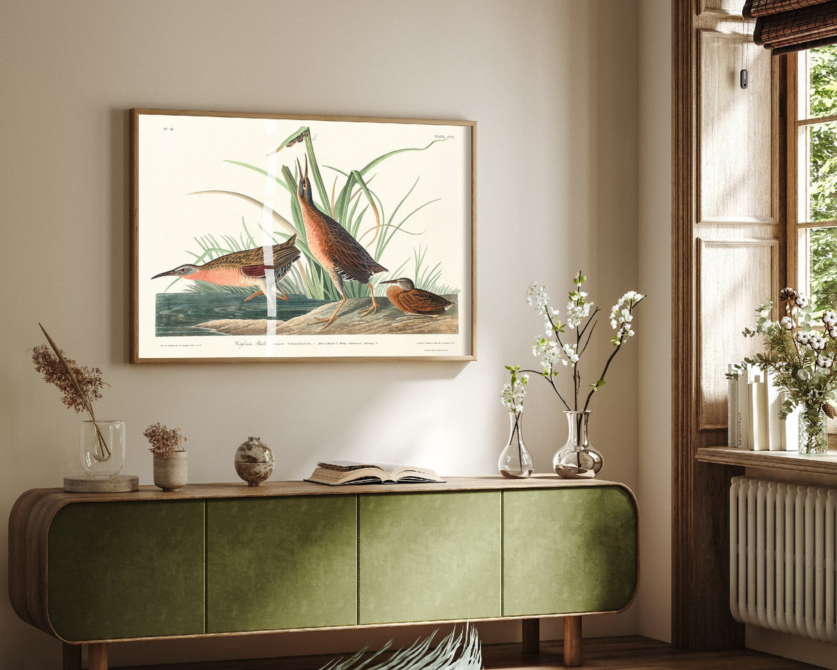 Virginia Rail Art Print - John James Audubon Birds of America - Vintage Ornithology Illustration Poster
