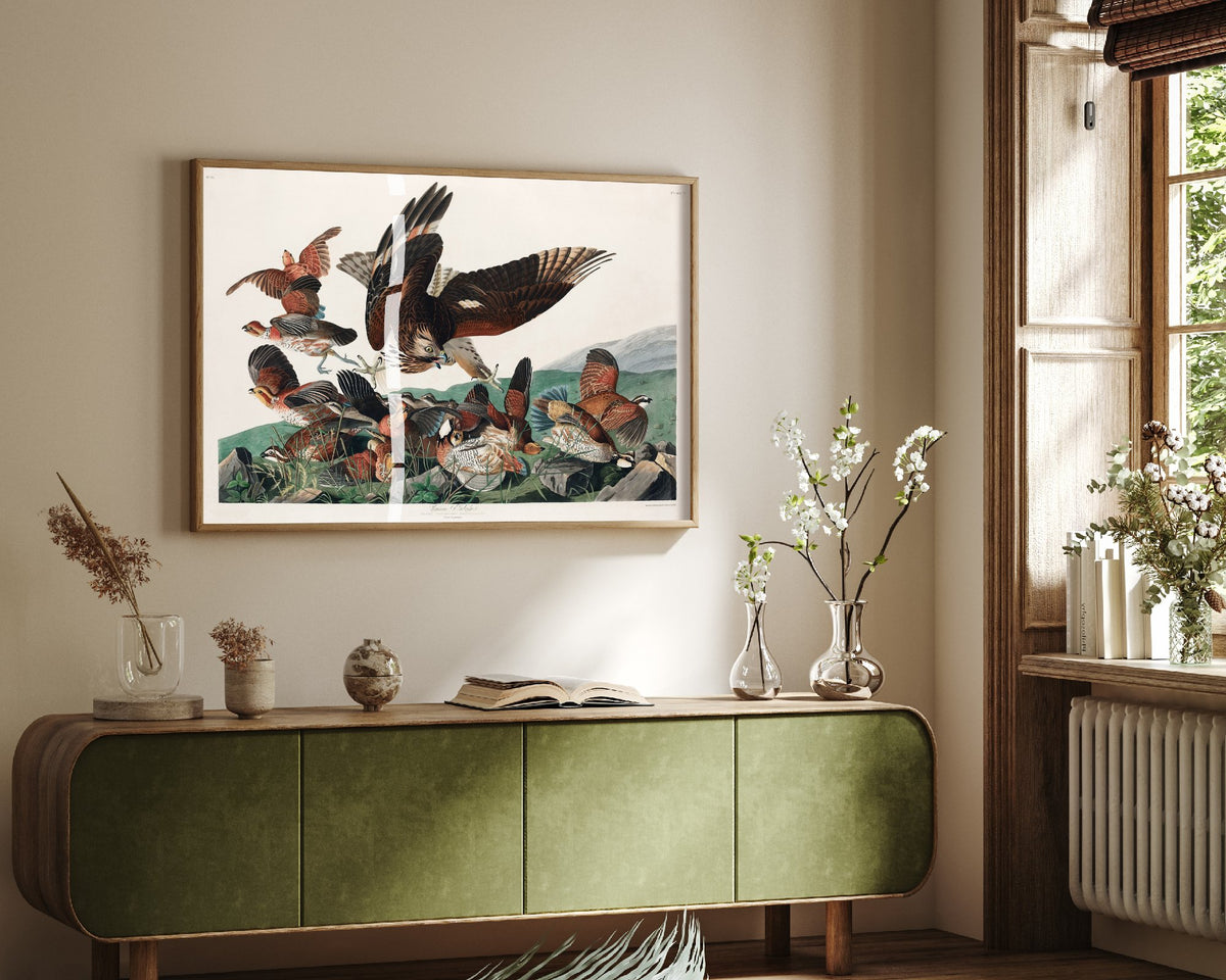 Northern Bobwhite Art Print - John James Audubon Birds of America - Virginian Partridge Vintage Illustration Poster