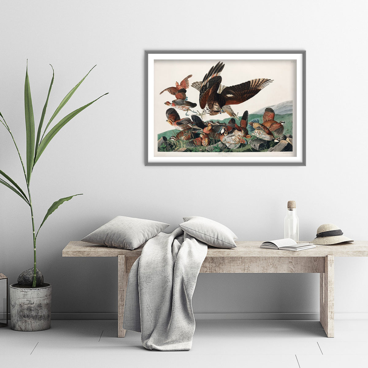 Northern Bobwhite Art Print - John James Audubon Birds of America - Virginian Partridge Vintage Illustration Poster
