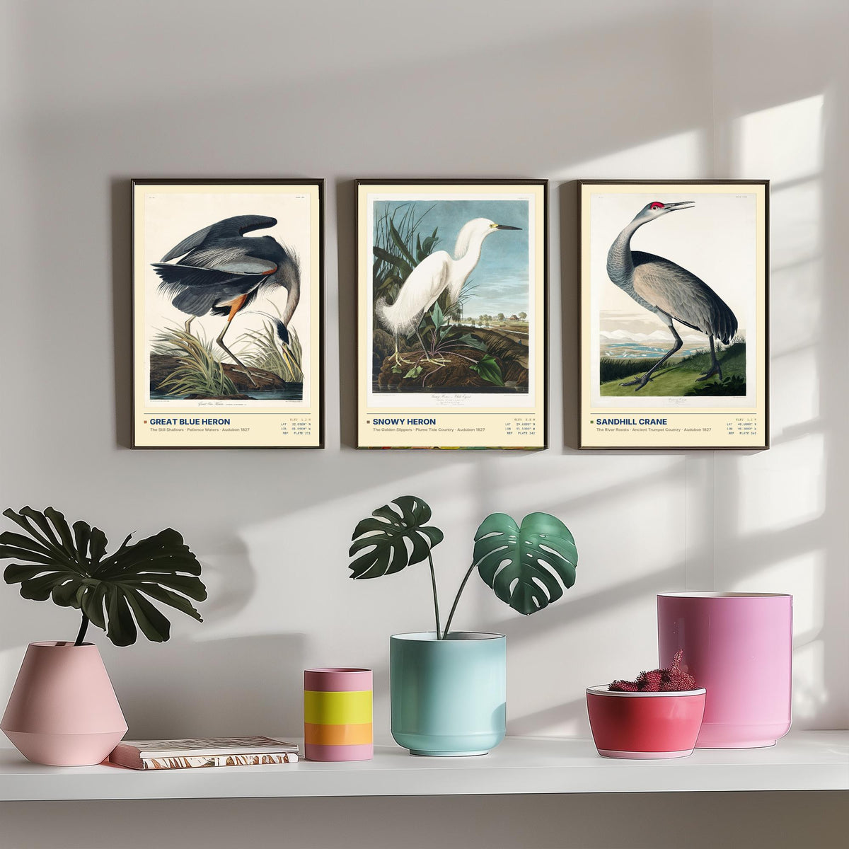 Audubon Wading Birds Set of Three Art Prints - Great Blue Heron, Snowy Heron, Sandhill Crane - Coastal Illustrations Gallery Posters