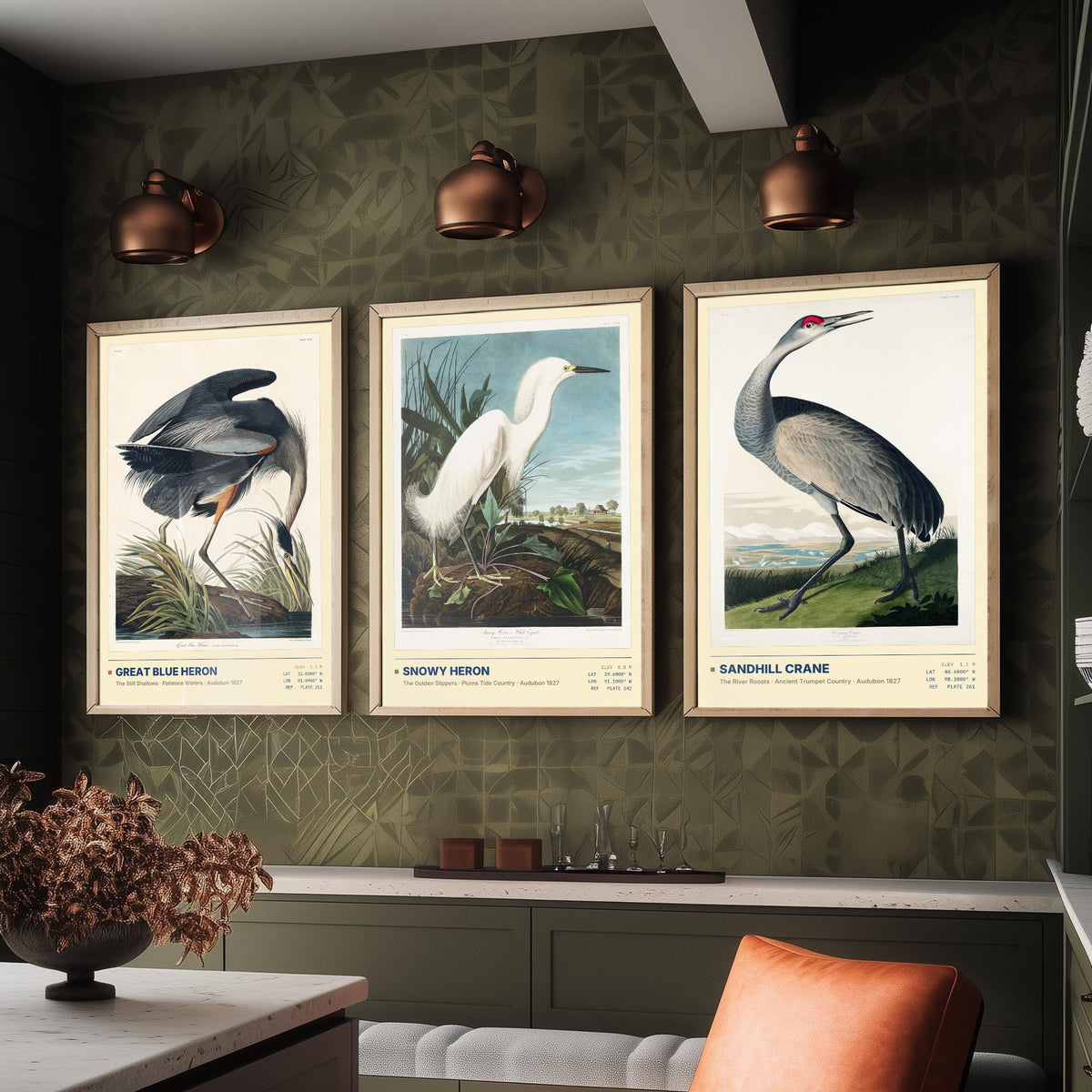 Audubon Wading Birds Set of Three Art Prints - Great Blue Heron, Snowy Heron, Sandhill Crane - Coastal Illustrations Gallery Posters