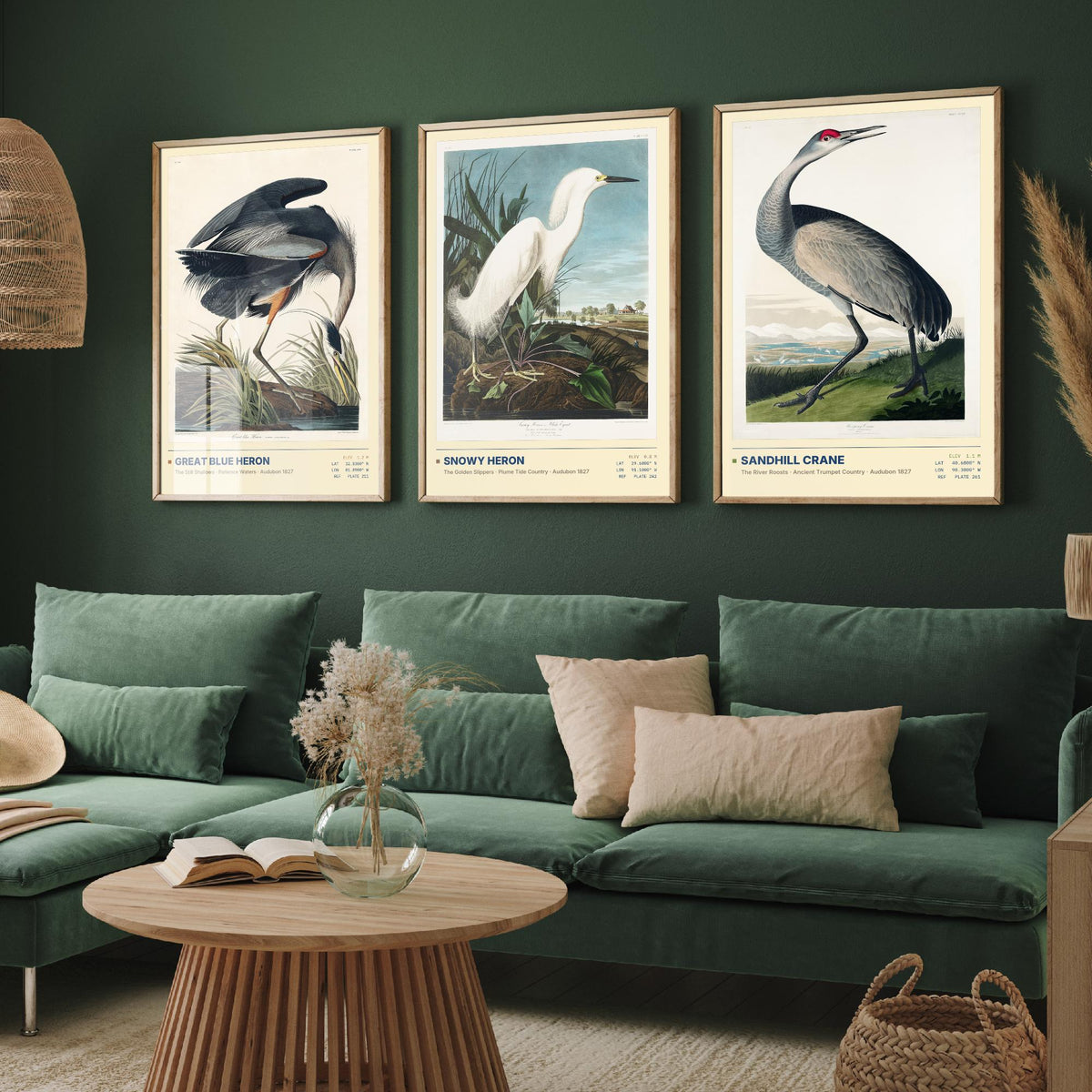 Audubon Wading Birds Set of Three Art Prints - Great Blue Heron, Snowy Heron, Sandhill Crane - Coastal Illustrations Gallery Posters