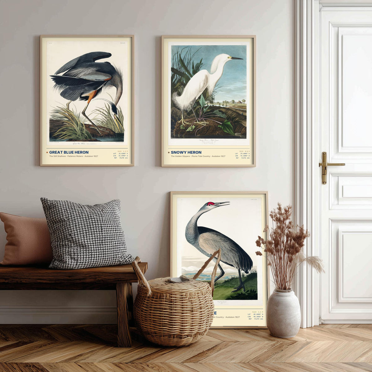 Audubon Wading Birds Set of Three Art Prints - Great Blue Heron, Snowy Heron, Sandhill Crane - Coastal Illustrations Gallery Posters