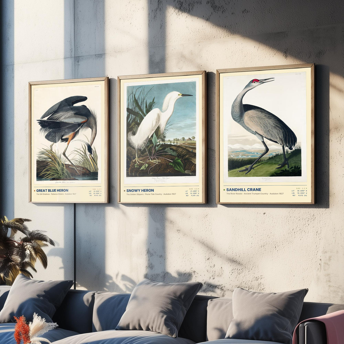 Audubon Wading Birds Set of Three Art Prints - Great Blue Heron, Snowy Heron, Sandhill Crane - Coastal Illustrations Gallery Posters