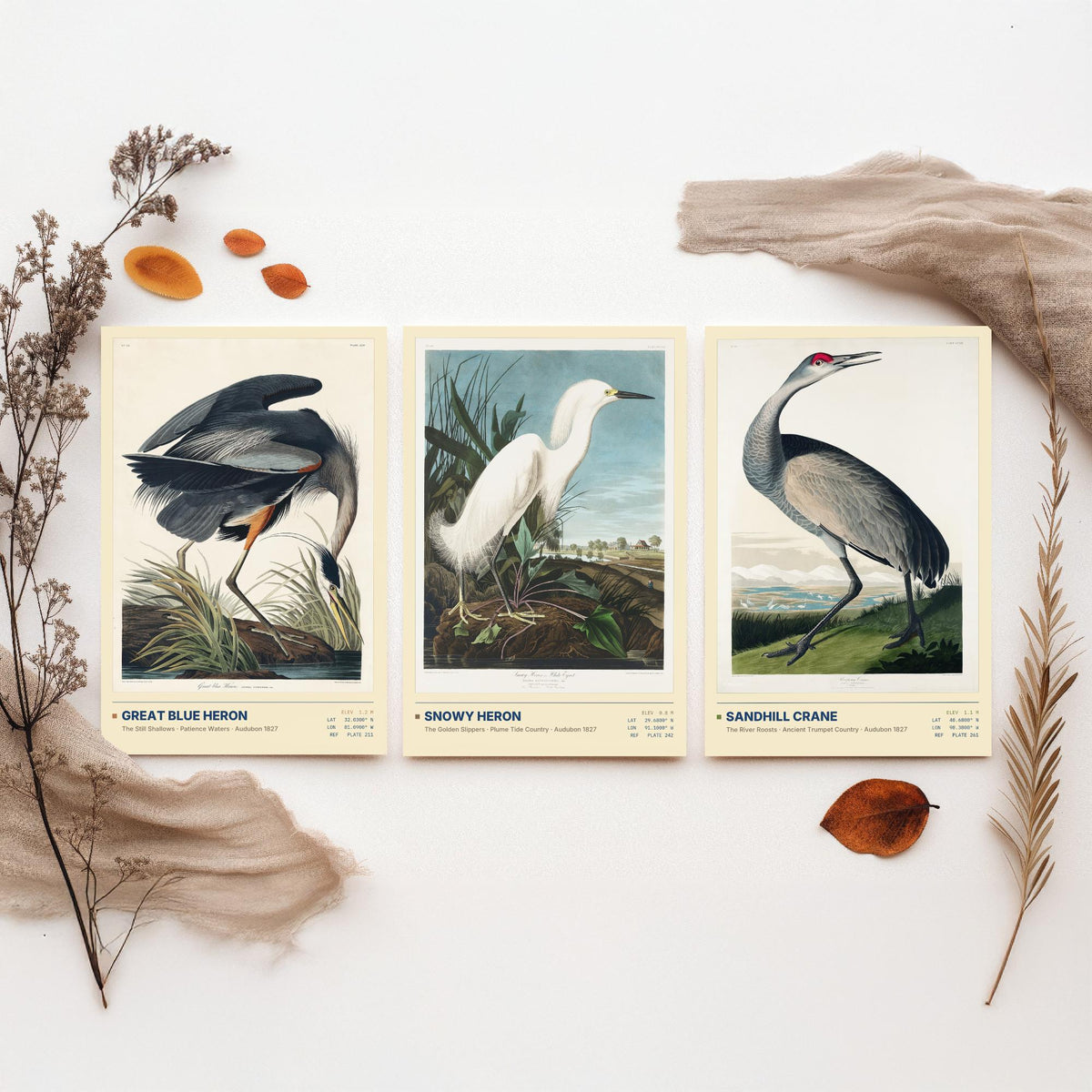 Audubon Wading Birds Set of Three Art Prints - Great Blue Heron, Snowy Heron, Sandhill Crane - Coastal Illustrations Gallery Posters