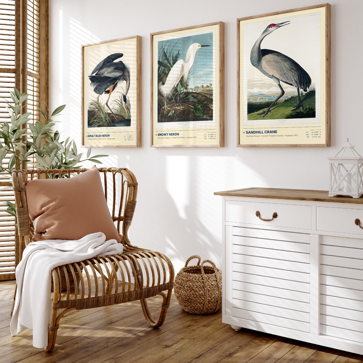 Audubon Wading Birds Set of Three Art Prints - Great Blue Heron, Snowy Heron, Sandhill Crane - Coastal Illustrations Gallery Posters