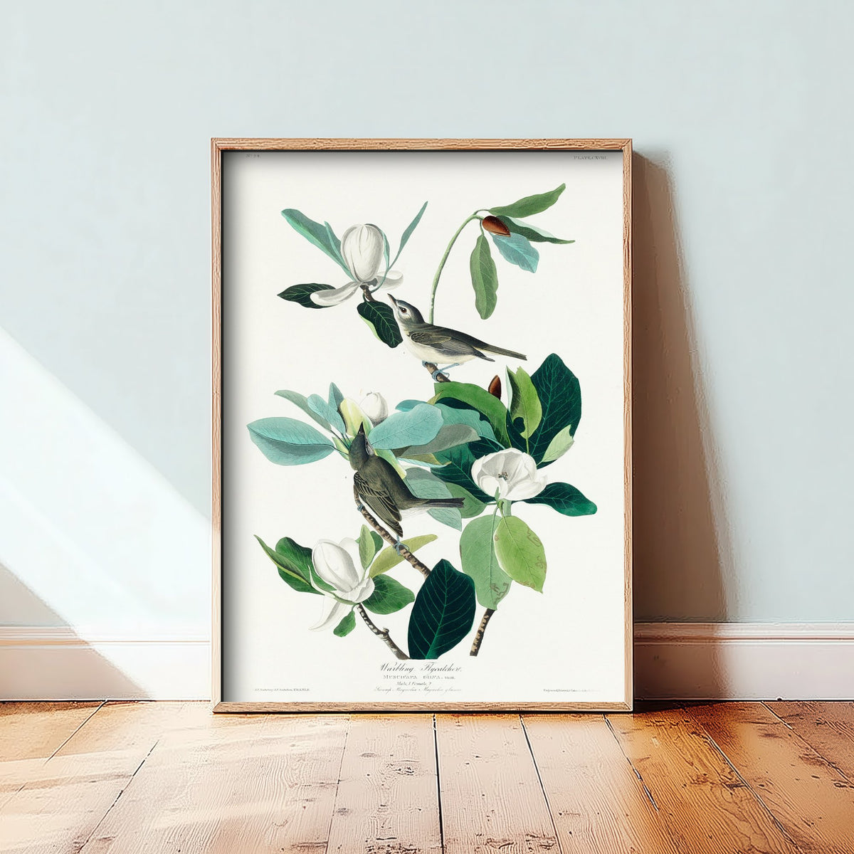 Warbling Vireo Art Print - John James Audubon Birds of America - Warbling Flycatcher Vintage Ornithology Illustration Poster