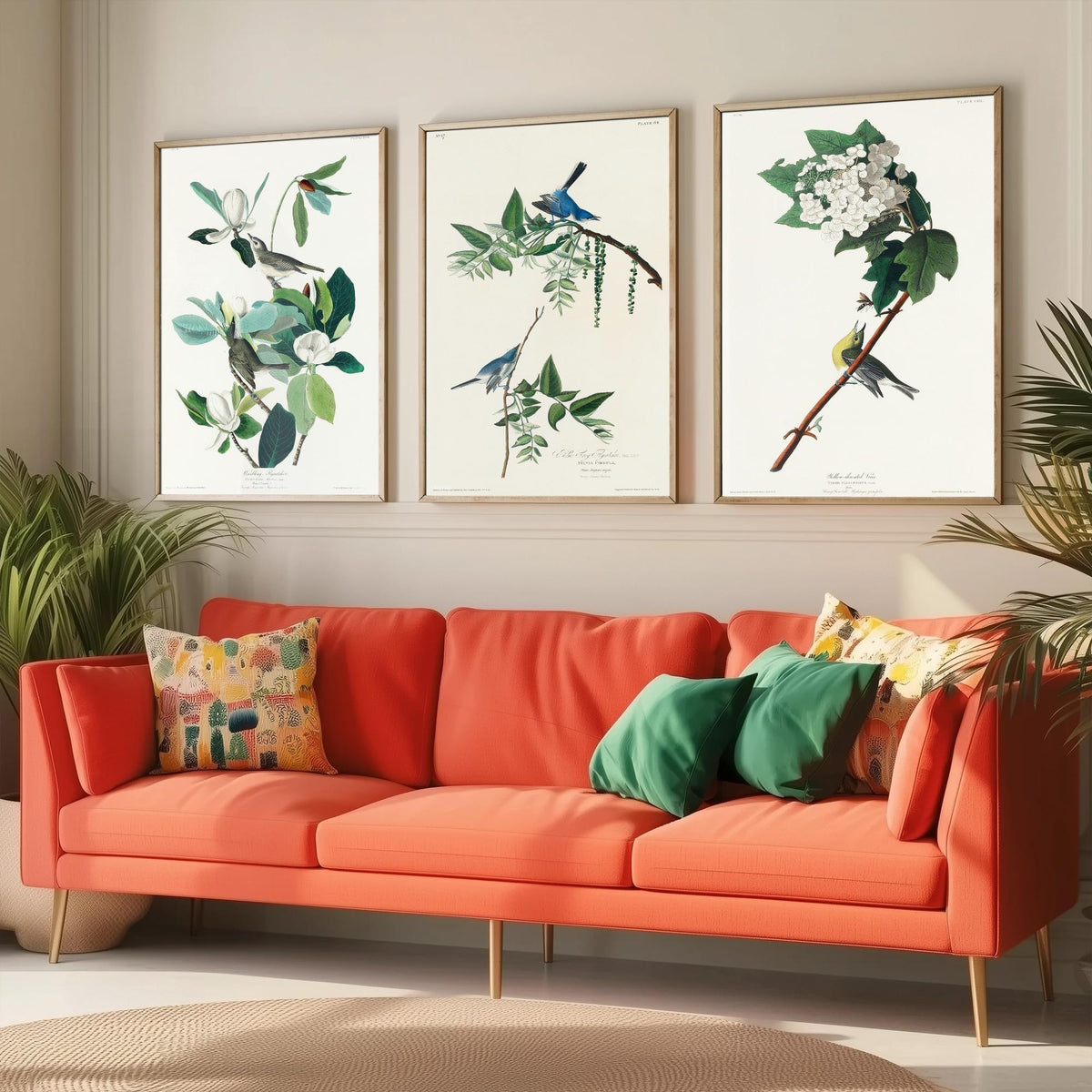 Set of Three John James Audubon Prints - Warbling Vireo Blue-grey Gnatcatcher Yellow-throat Vireo - 3 Bird Paintings Poster Wall Art
