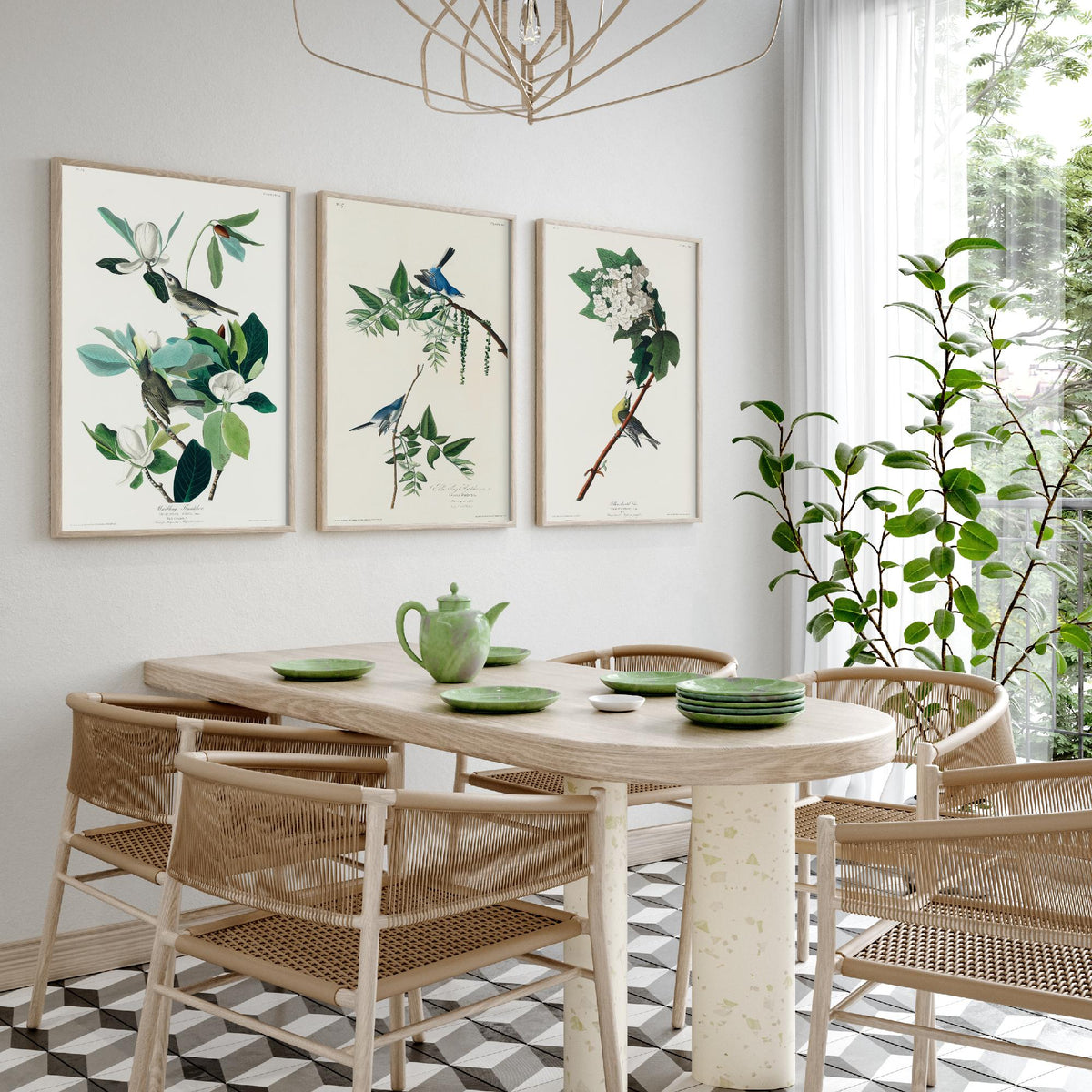 Set of Three John James Audubon Prints - Warbling Vireo Blue-grey Gnatcatcher Yellow-throat Vireo - 3 Bird Paintings Poster Wall Art