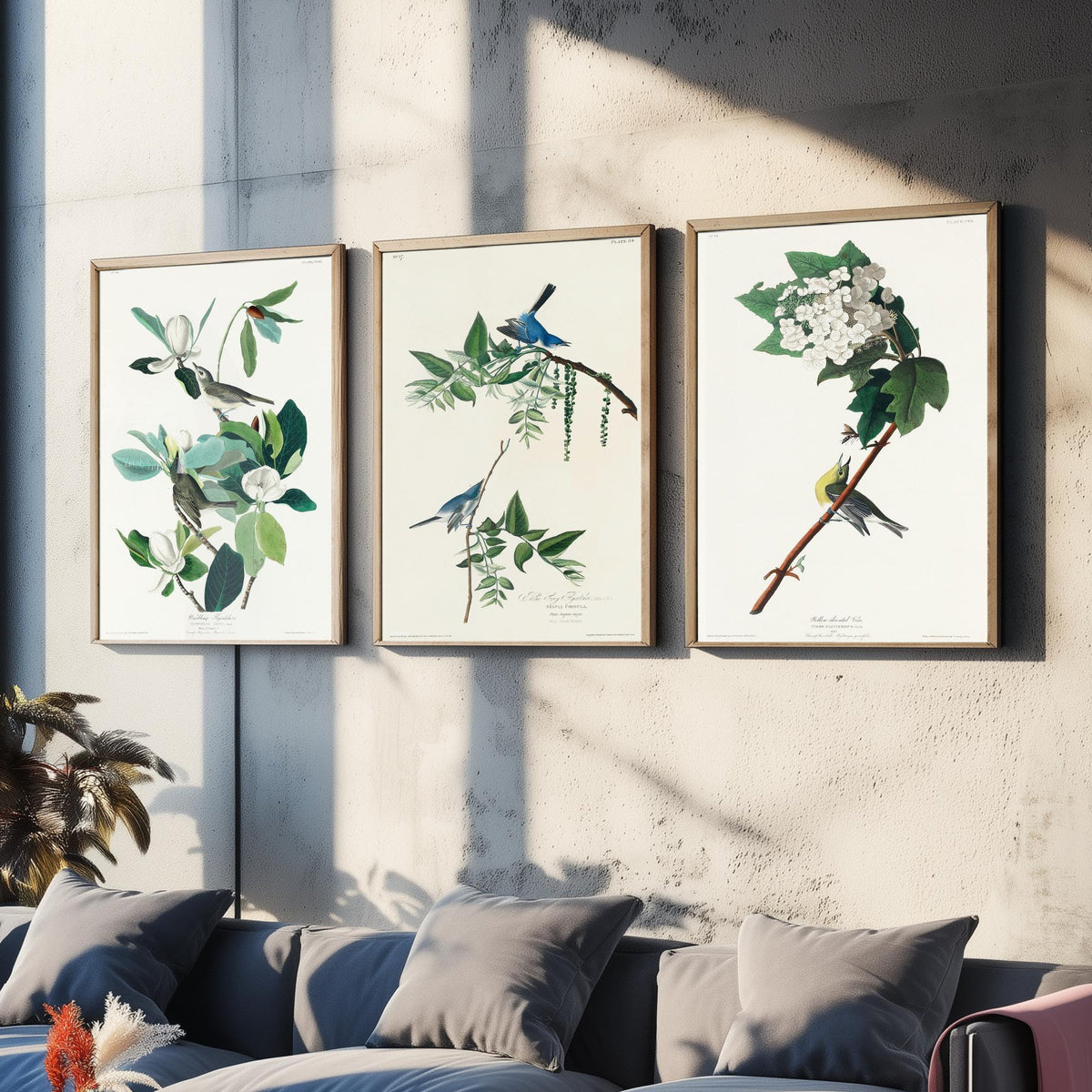 Set of Three John James Audubon Prints - Warbling Vireo Blue-grey Gnatcatcher Yellow-throat Vireo - 3 Bird Paintings Poster Wall Art