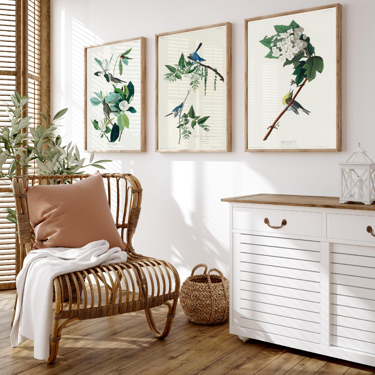 Set of Three John James Audubon Prints - Warbling Vireo Blue-grey Gnatcatcher Yellow-throat Vireo - 3 Bird Paintings Poster Wall Art