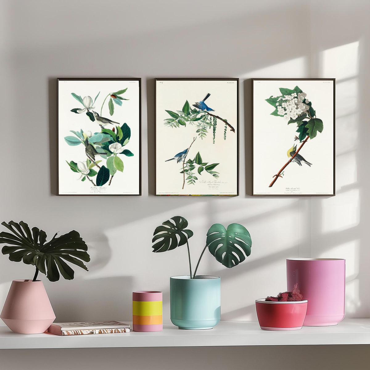 Set of Three John James Audubon Prints - Warbling Vireo Blue-grey Gnatcatcher Yellow-throat Vireo - 3 Bird Paintings Poster Wall Art