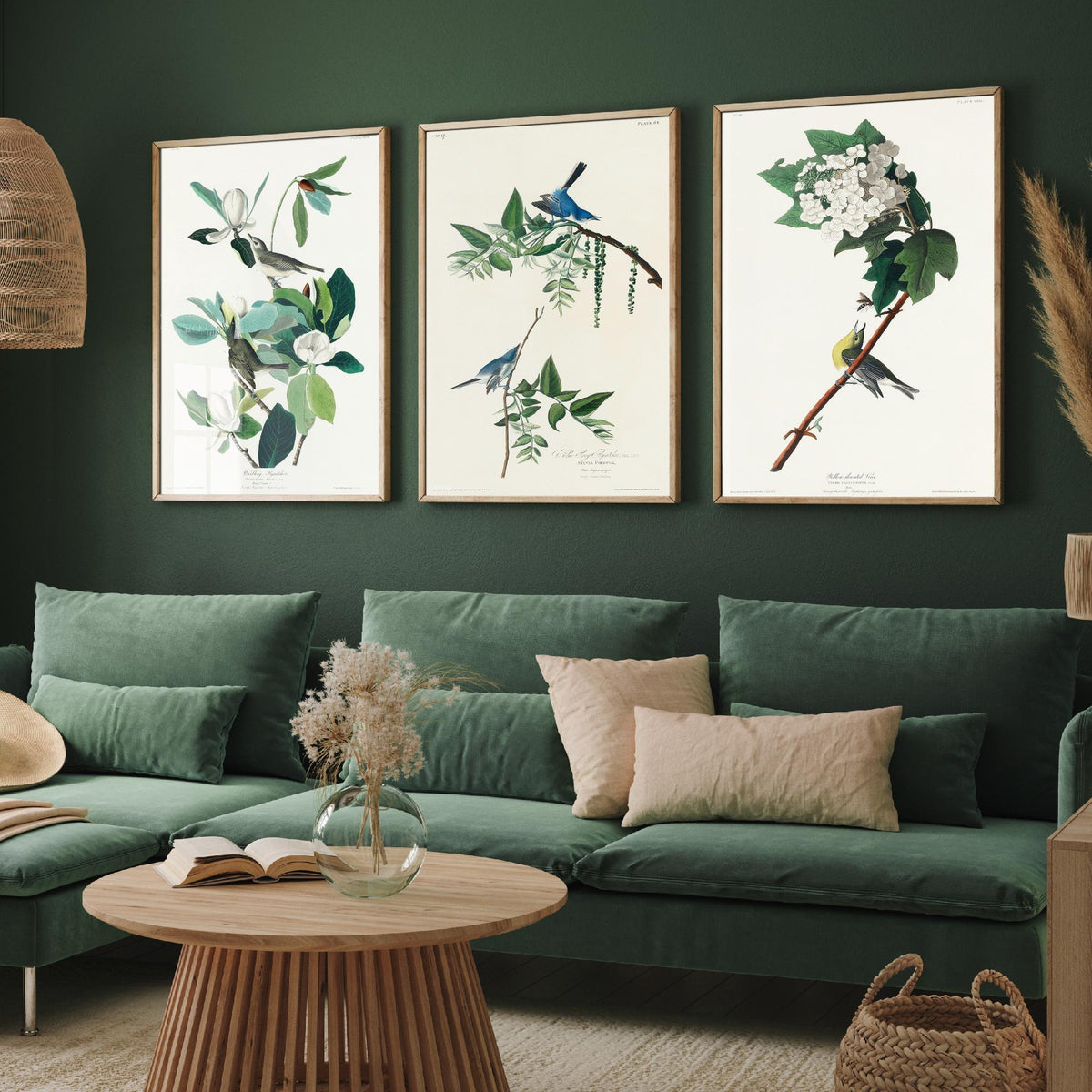 Set of Three John James Audubon Prints - Warbling Vireo Blue-grey Gnatcatcher Yellow-throat Vireo - 3 Bird Paintings Poster Wall Art