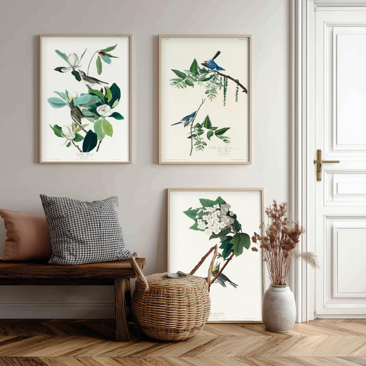 Set of Three John James Audubon Prints - Warbling Vireo Blue-grey Gnatcatcher Yellow-throat Vireo - 3 Bird Paintings Poster Wall Art