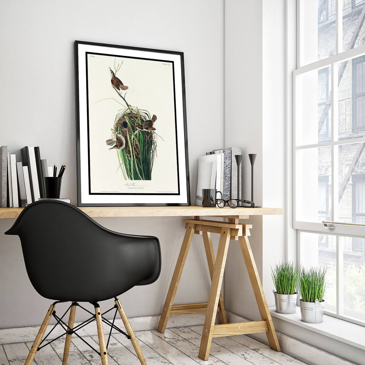 Tree Swallow Art Print - John James Audubon Birds of America - White-bellied Swallow Vintage Illustration Poster