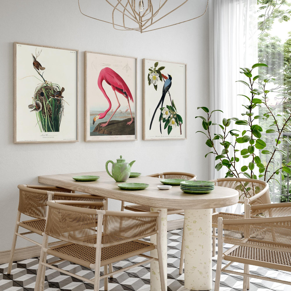 Set of Three John James Audubon Prints - Tree Swallow American Flamingo and Fork-tailed Flycatcher - 3 Bird Paintings Poster Wall Art