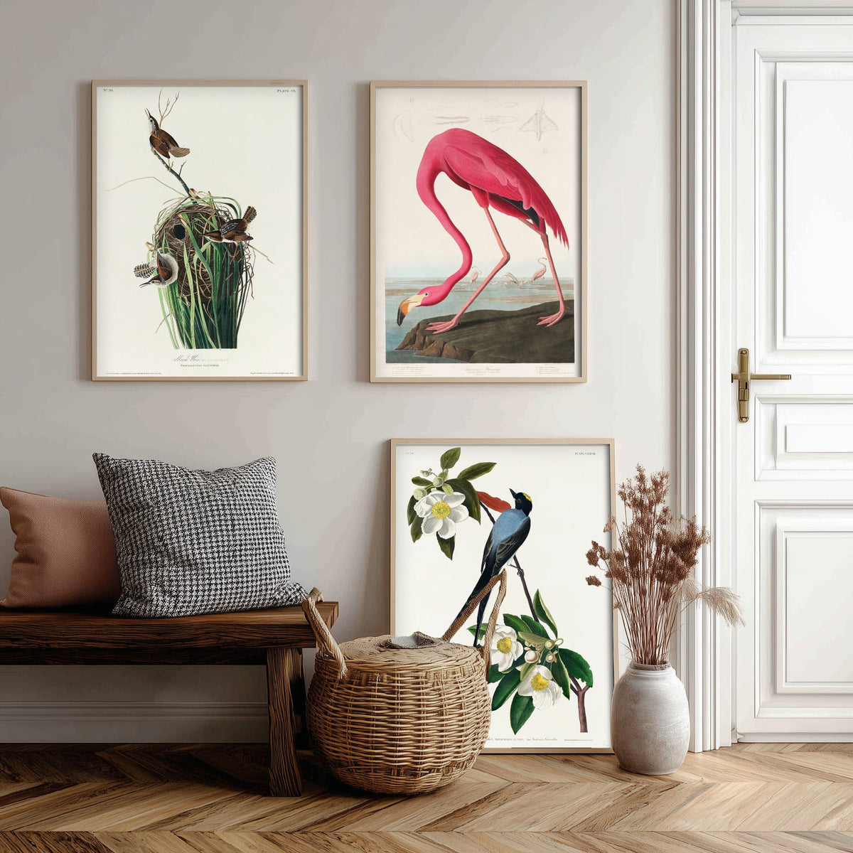 Set of Three John James Audubon Prints - Tree Swallow American Flamingo and Fork-tailed Flycatcher - 3 Bird Paintings Poster Wall Art