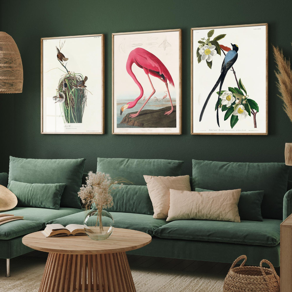 Set of Three John James Audubon Prints - Tree Swallow American Flamingo and Fork-tailed Flycatcher - 3 Bird Paintings Poster Wall Art