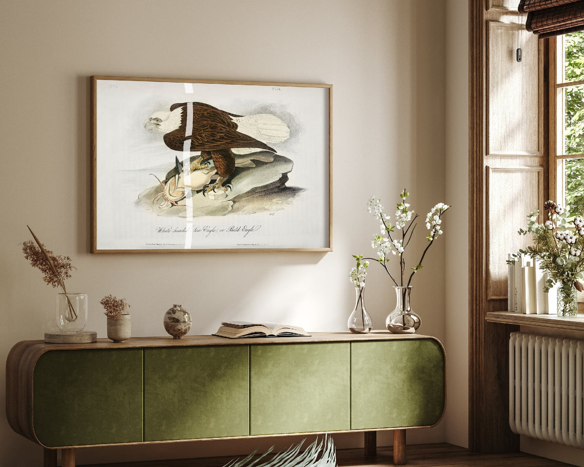 Bald Eagle Art Print with Prey - John James Audubon Birds of America Poster - Vintage Ornithology Illustration