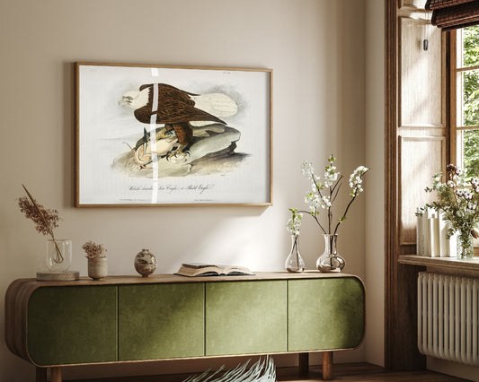 Bald Eagle Art Print with Prey - John James Audubon Birds of America Poster - Vintage Ornithology Illustration