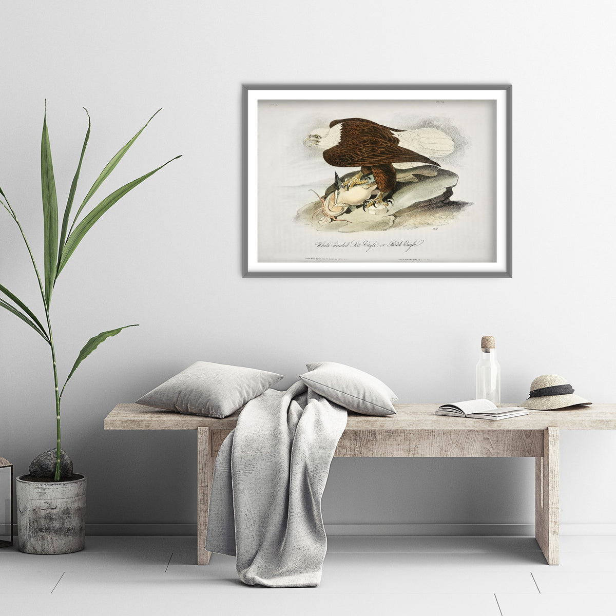 Bald Eagle Art Print with Prey - John James Audubon Birds of America Poster - Vintage Ornithology Illustration