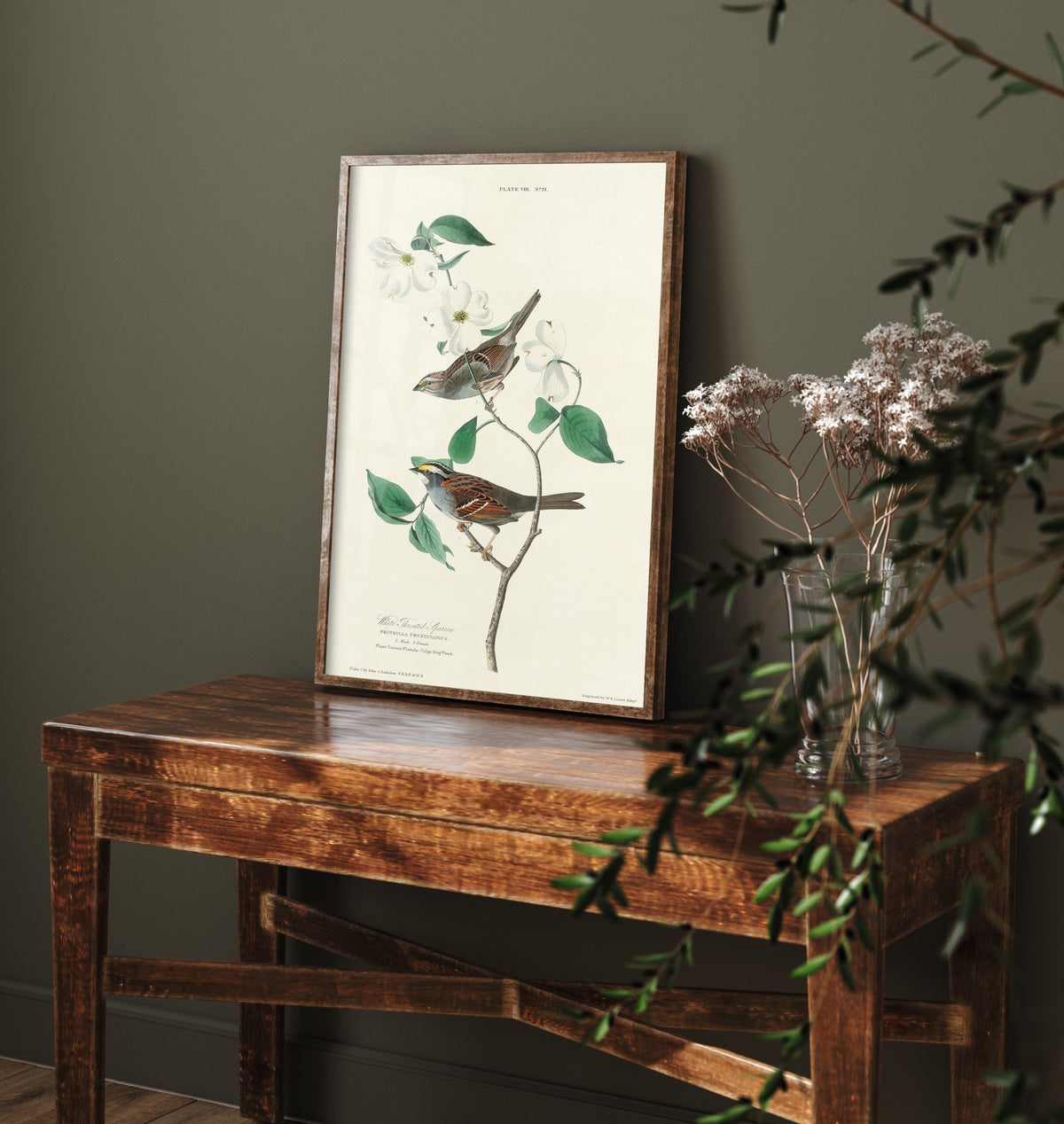 White-throated Sparrow Art Print - John James Audubon Birds of America Poster - Vintage Ornithology Illustration