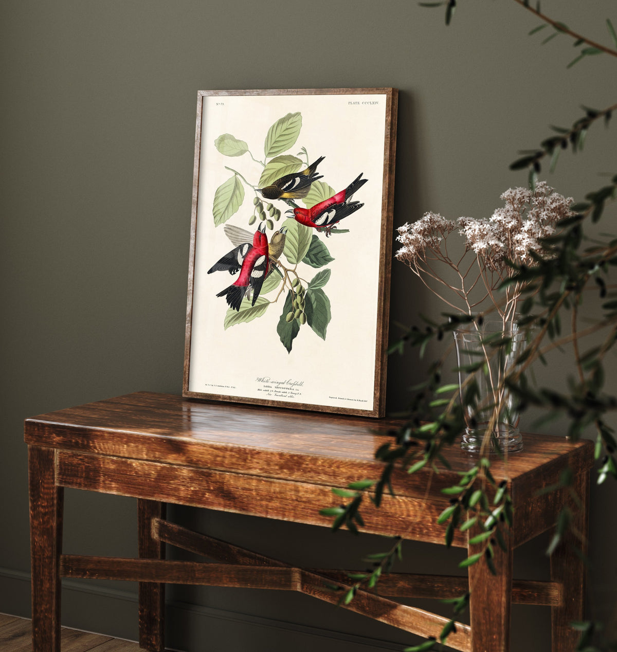 White-winged Crossbill Art Print - John James Audubon Birds of America Poster - Vintage Ornithology Illustration