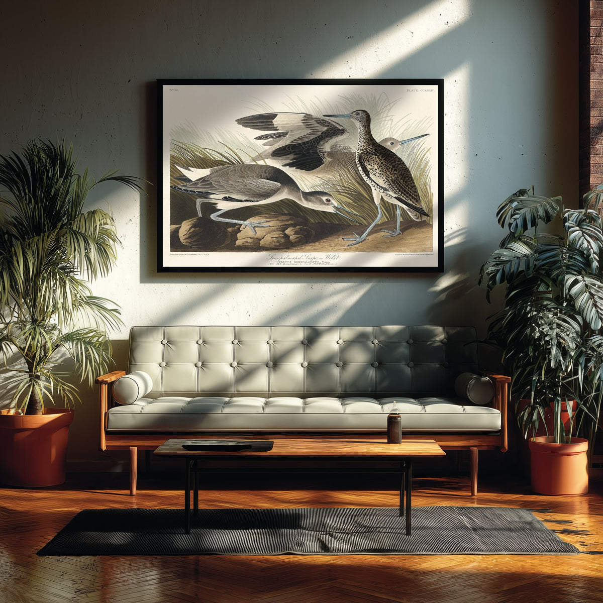 Willet Art Print - John James Audubon Birds of America Poster - Vintage Ornithology Illustration