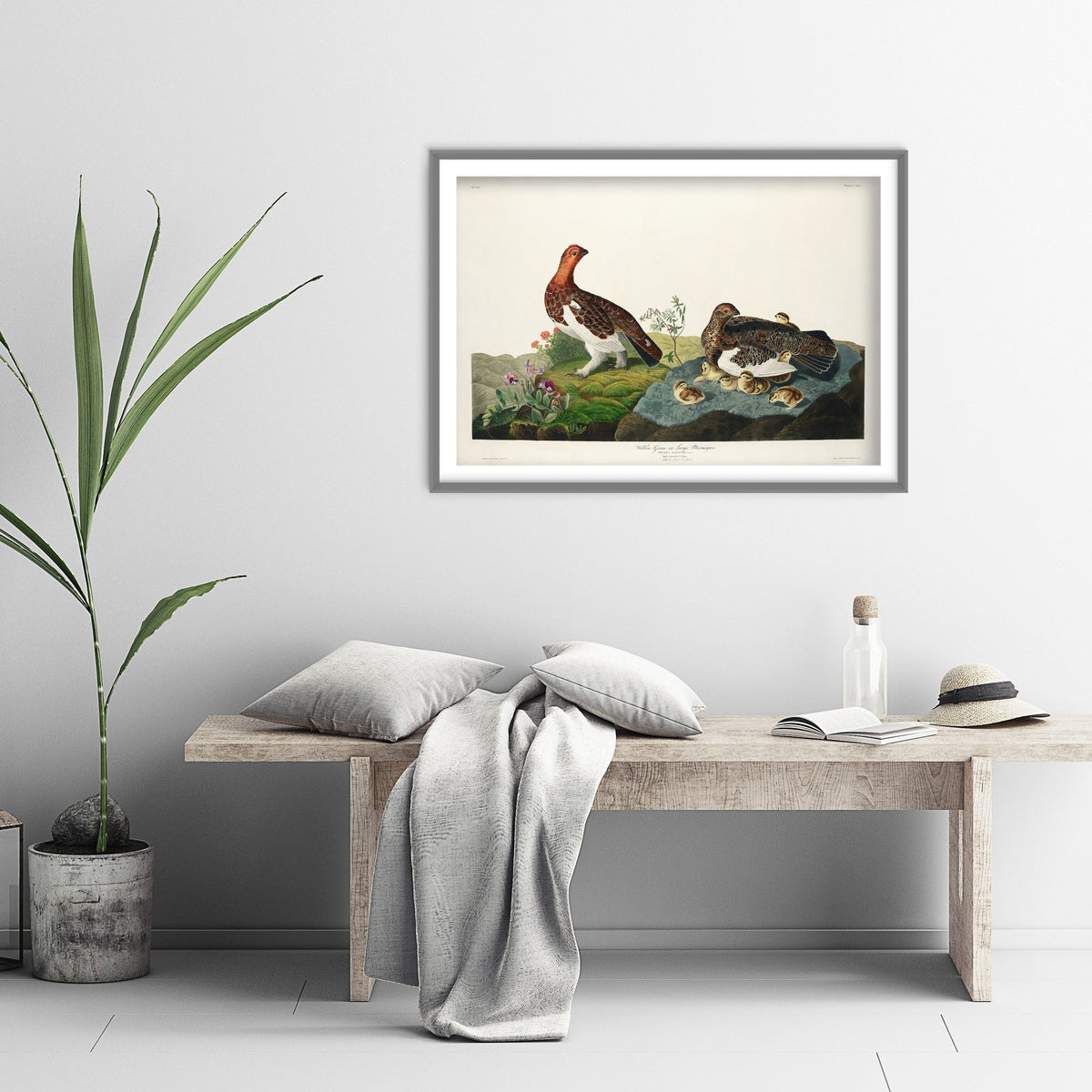 Willow Ptarmigan Art Print - John James Audubon Birds of America Poster - Vintage Ornithology Illustration