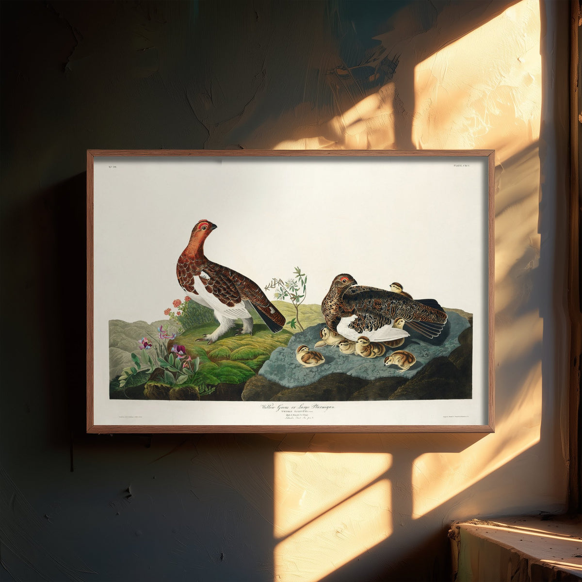 Willow Ptarmigan Art Print - John James Audubon Birds of America Poster - Vintage Ornithology Illustration