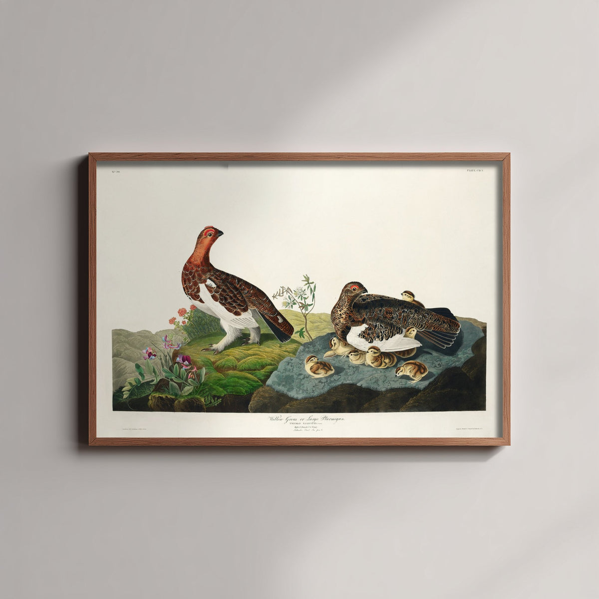 Willow Ptarmigan Art Print - John James Audubon Birds of America Poster - Vintage Ornithology Illustration
