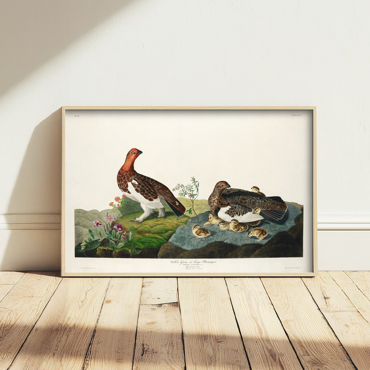 Willow Ptarmigan Art Print - John James Audubon Birds of America Poster - Vintage Ornithology Illustration