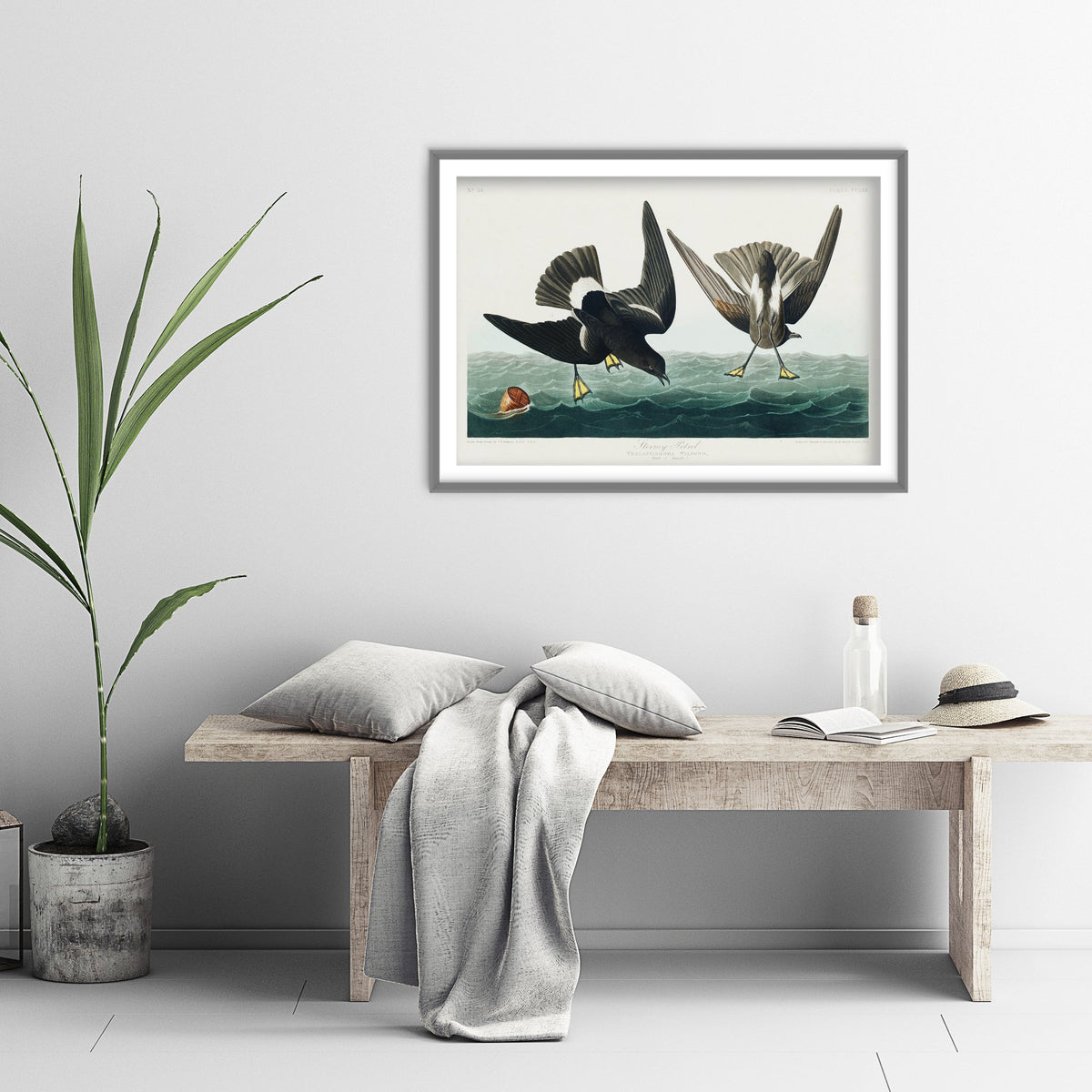 Wilson's Storm-Petrel Pattering on Ocean Waves - John James Audubon Birds of America - Antique Bird Art Print Poster Illustration