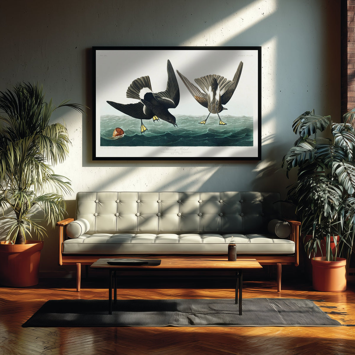 Wilson's Storm-Petrel Pattering on Ocean Waves - John James Audubon Birds of America - Antique Bird Art Print Poster Illustration