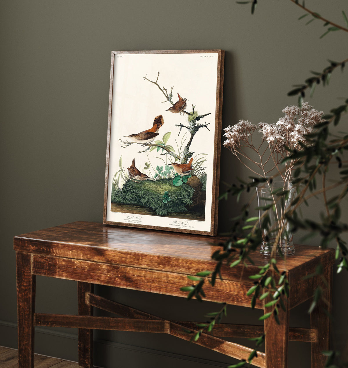 Winter Wren - John James Audubon Birds of America - Vintage Songbird Art Print Poster Illustration