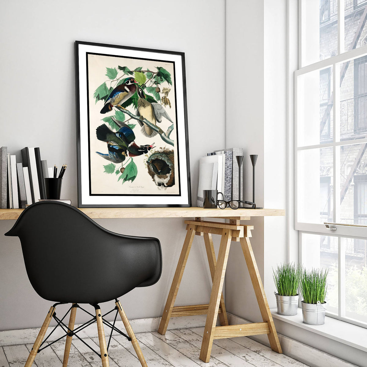 Wood Duck - John James Audubon Birds of America - Vintage Waterfowl Art Print Poster Illustration