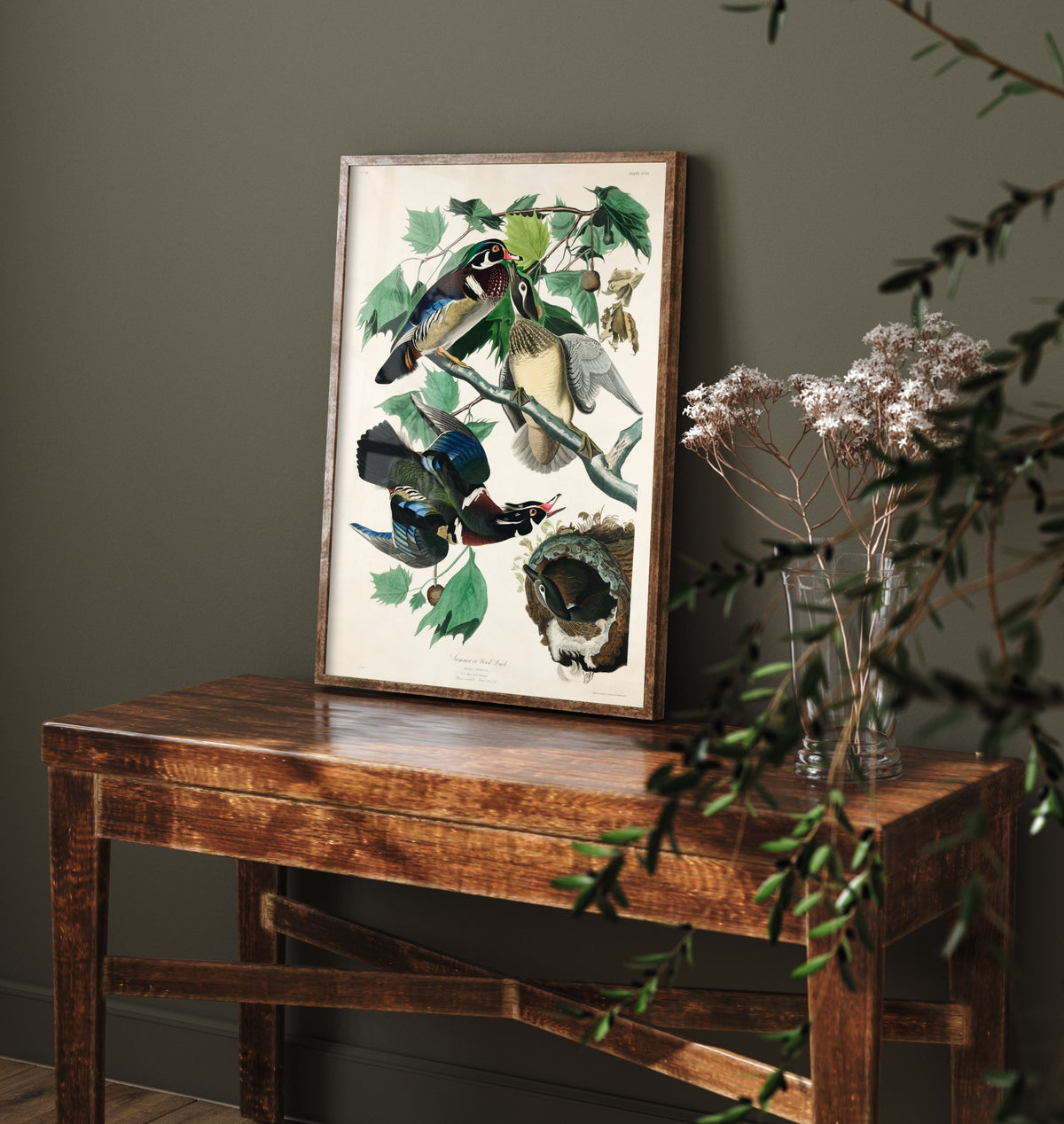 Wood Duck - John James Audubon Birds of America - Vintage Waterfowl Art Print Poster Illustration