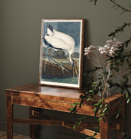 Wood Stork - John James Audubon Birds of America - Vintage Wood Ibis Art Print Poster Illustration