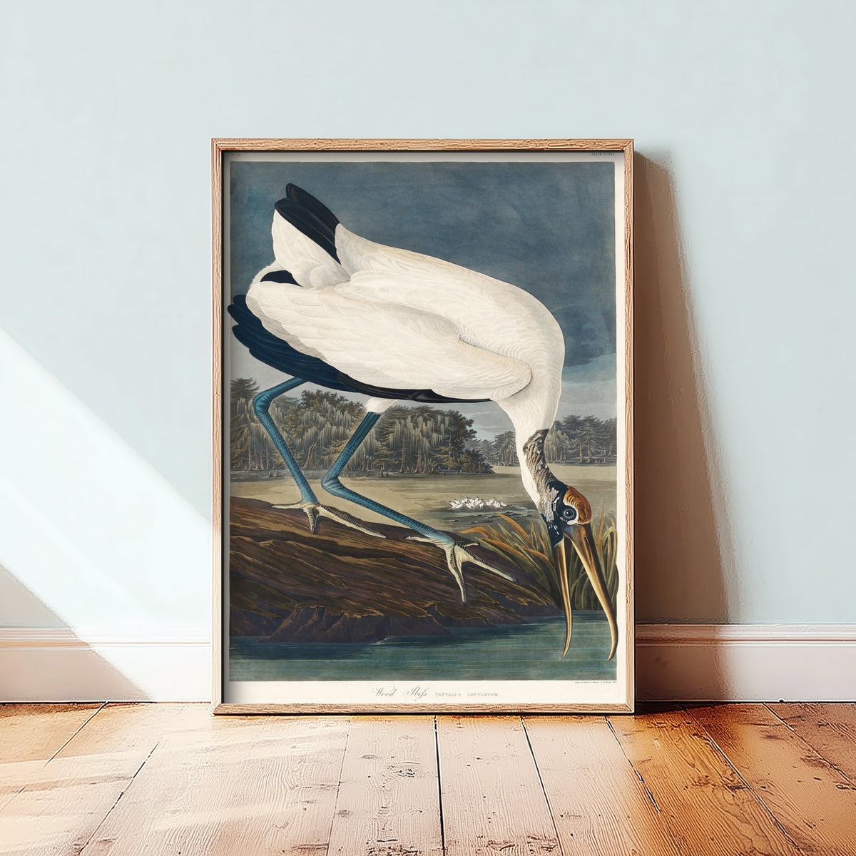Wood Stork - John James Audubon Birds of America - Vintage Wood Ibis Art Print Poster Illustration