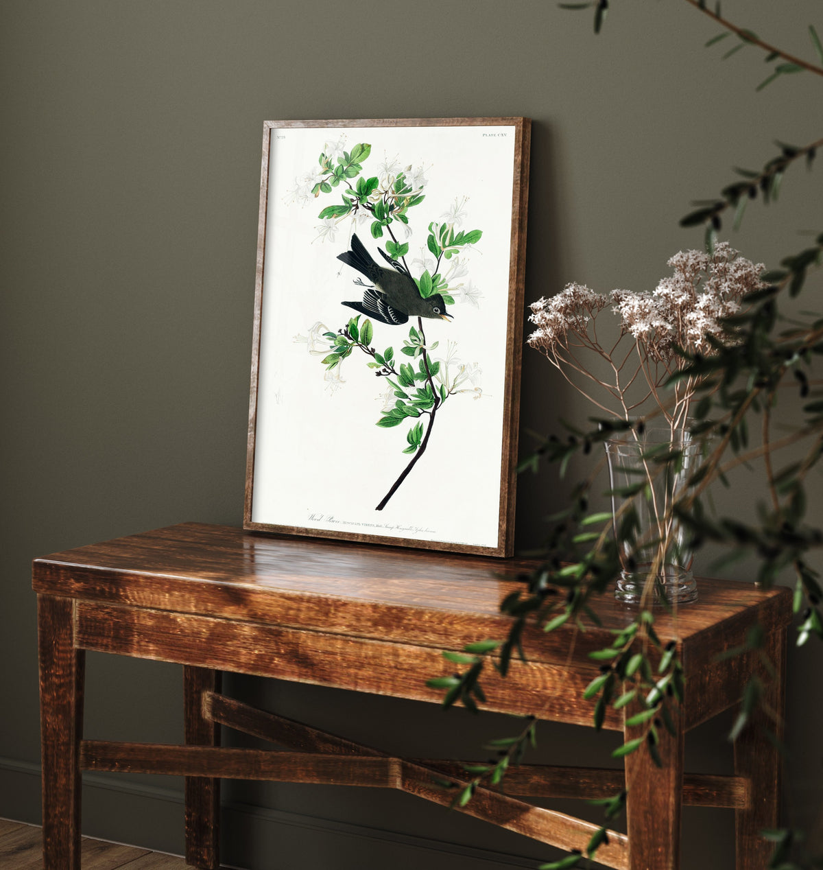 Eastern Wood-Pewee - John James Audubon Birds of America - Vintage Flycatcher Art Print Poster Illustration