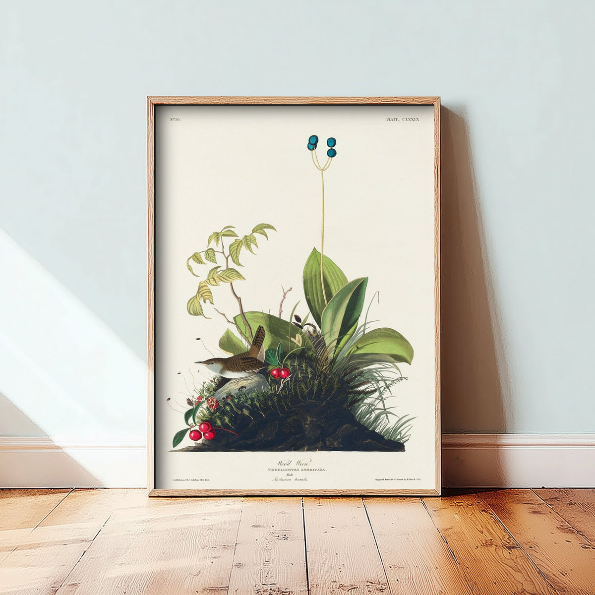House Wren - John James Audubon Birds of America - Vintage Wood Wren Art Print Poster Illustration