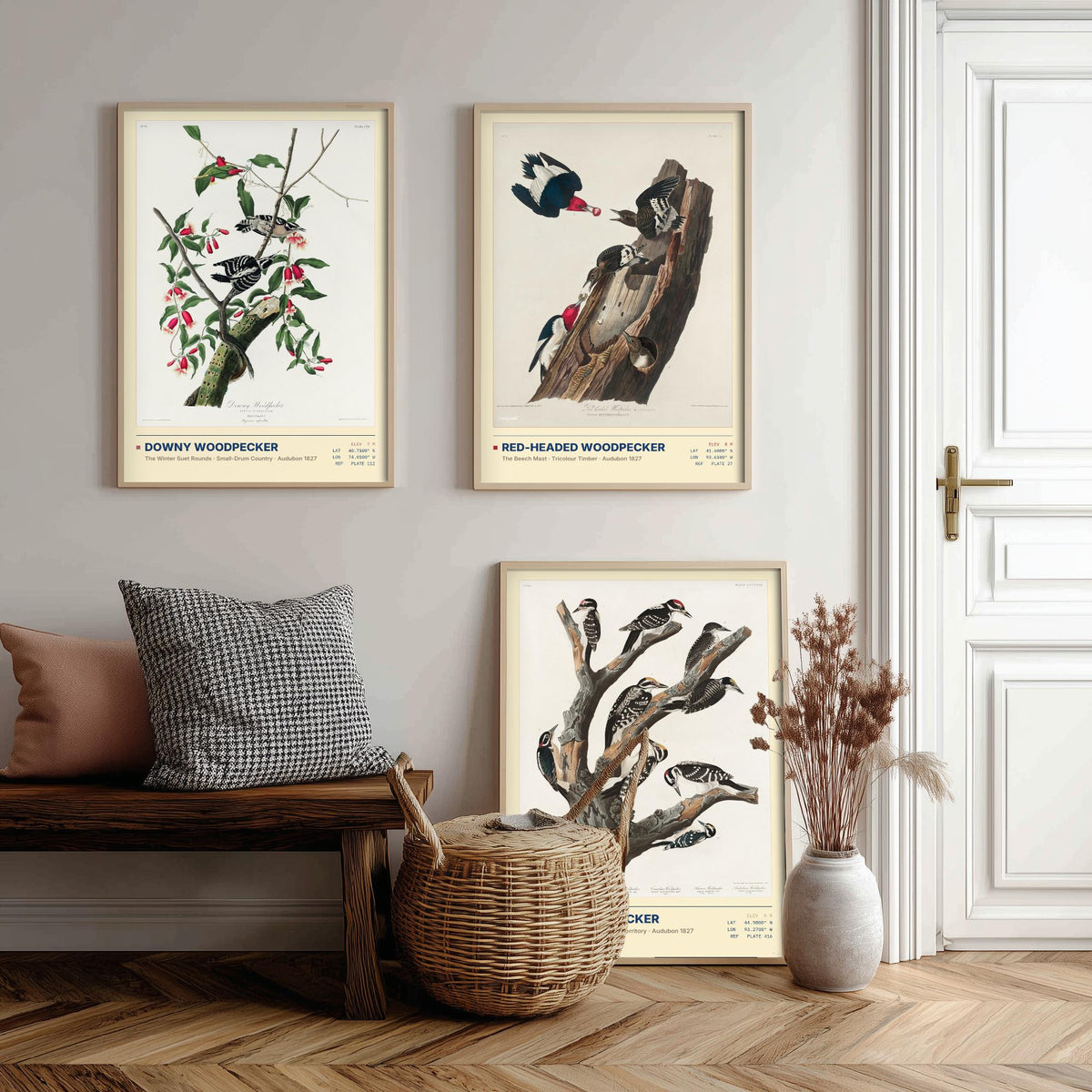 Audubon Woodpeckers Set of Three Art Prints - Downy, Red-headed and Hairy Woodpecker - Birds of America Illustrations Cabin Posters