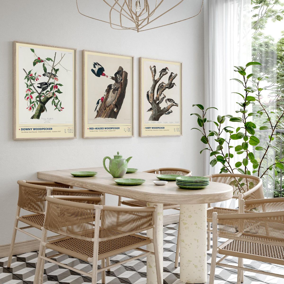 Audubon Woodpeckers Set of Three Art Prints - Downy, Red-headed and Hairy Woodpecker - Birds of America Illustrations Cabin Posters