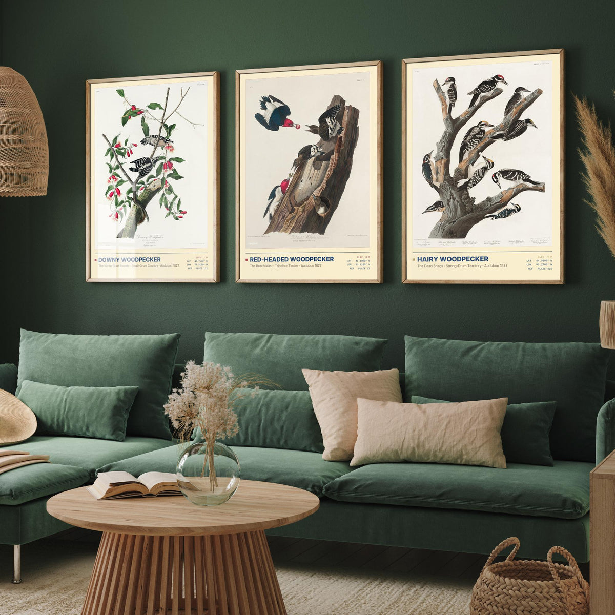 Audubon Woodpeckers Set of Three Art Prints - Downy, Red-headed and Hairy Woodpecker - Birds of America Illustrations Cabin Posters