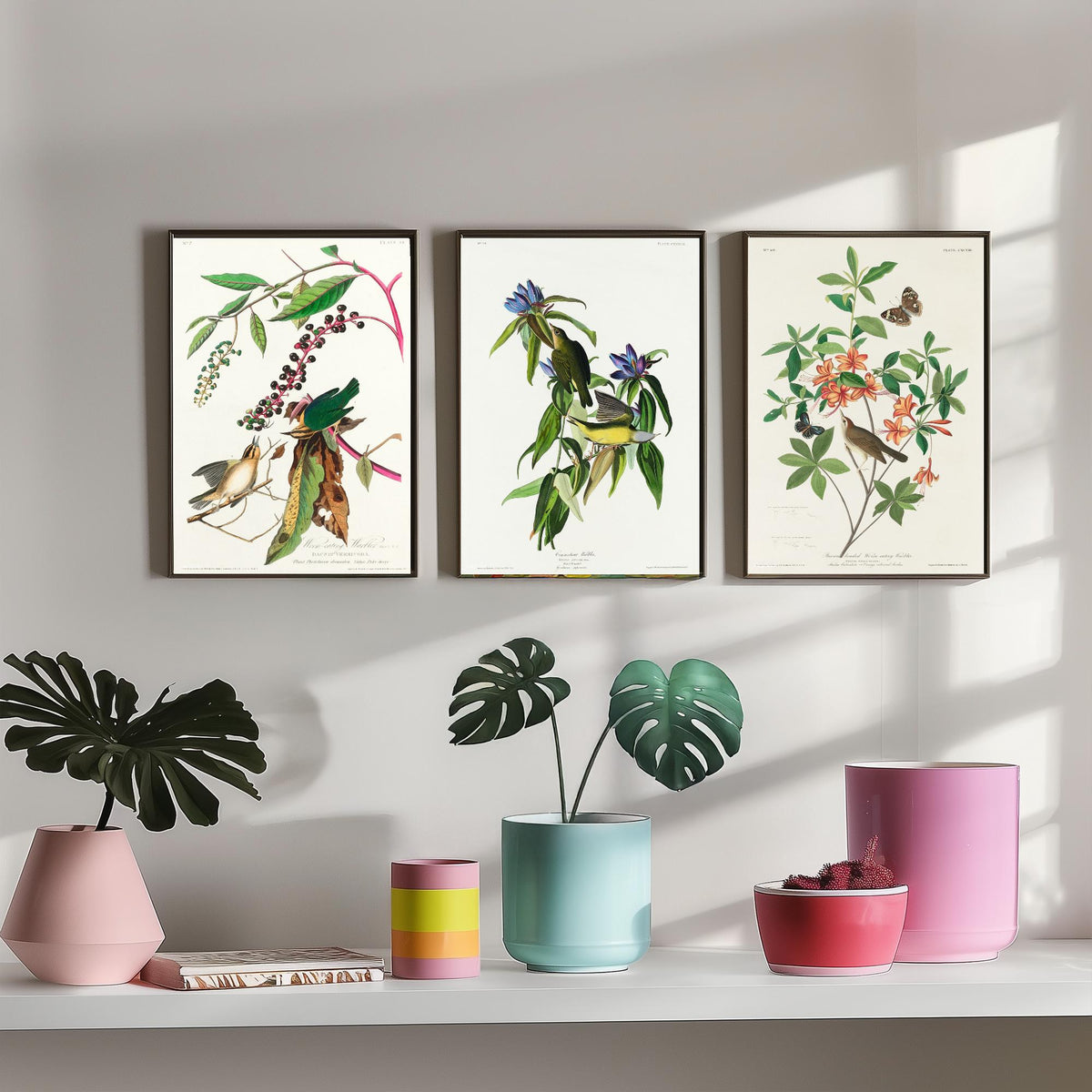 Set of Three John James Audubon Prints - Worm-eating Connecticut and Brown-headed Warbler - 3 Bird Paintings Poster Wall Art