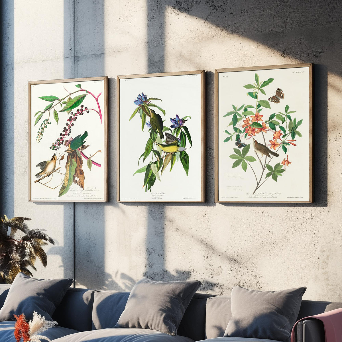 Set of Three John James Audubon Prints - Worm-eating Connecticut and Brown-headed Warbler - 3 Bird Paintings Poster Wall Art