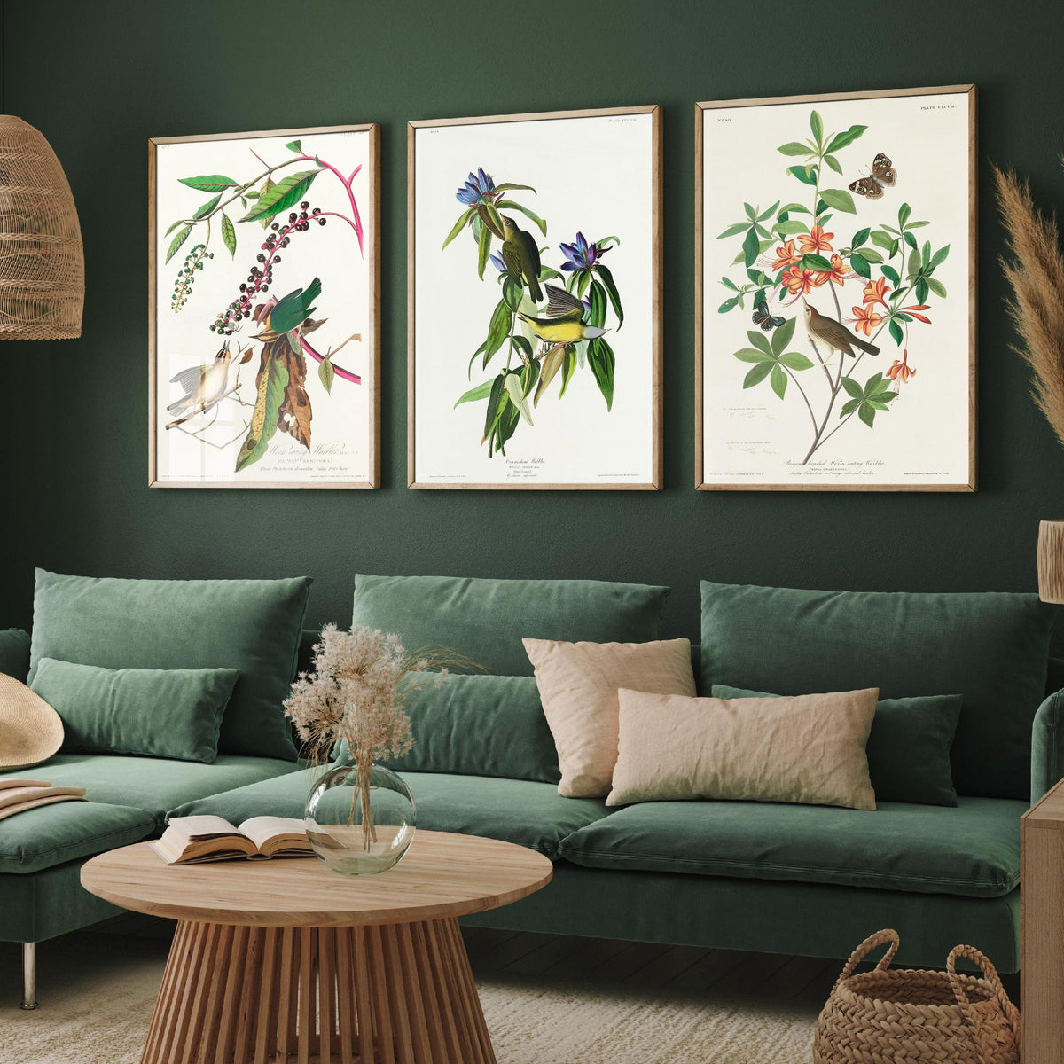 Set of Three John James Audubon Prints - Worm-eating Connecticut and Brown-headed Warbler - 3 Bird Paintings Poster Wall Art