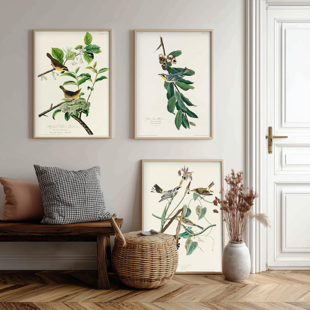 Set of Three John James Audubon Prints - Yellow-breasted Yellow-throated Yellow-crowned Warbler - 3 Bird Paintings Poster Wall Art