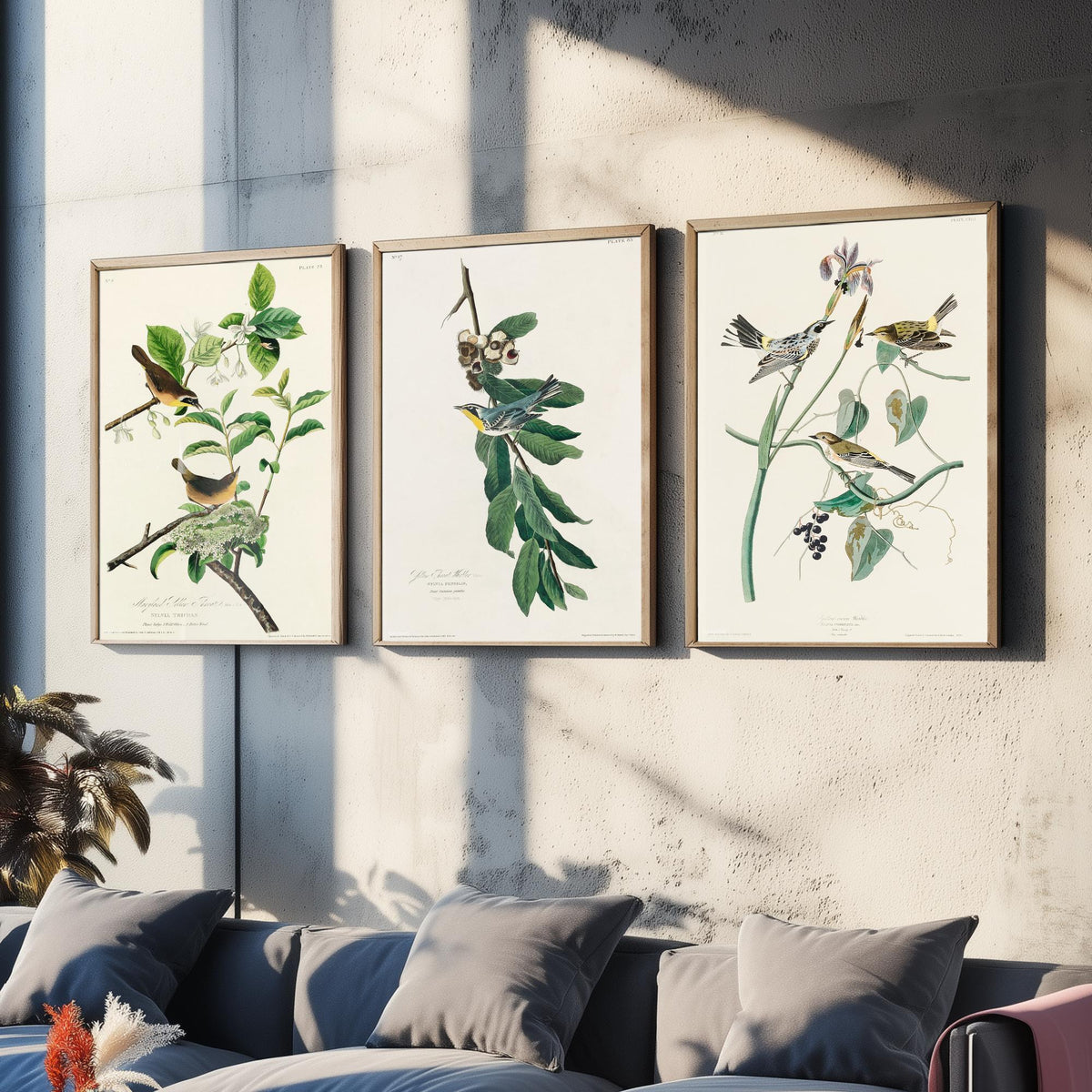 Set of Three John James Audubon Prints - Yellow-breasted Yellow-throated Yellow-crowned Warbler - 3 Bird Paintings Poster Wall Art